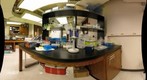 Fierer Lab