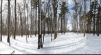 University of Guelph - Dairy Bush - 27 - Feb 24 2010