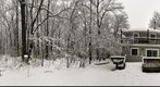 Hartshorne Woods (360) Snow Storm