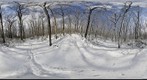 Hartshorne Woods (360x180) Eye of the Storm
