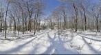 Hartshone Woods (360) Eye of the Storm