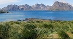 Prion Island South Georgia