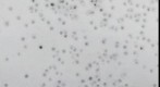 Snow Craters