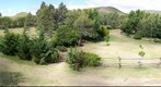 View of The Garden