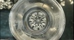 bottle.100228