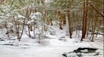 Mink Brook on Moose Mountain