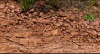 Chert Wall