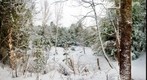 Moose Mountain Road