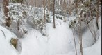 Along Pasture Road on Moose Mountain
