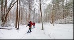 Snowshoeing on Moose Mountain