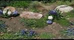Hyacinths and Friends