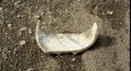 RiverBed 20100301 - 02 