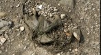 RiverBed 20100301 - 03 