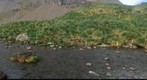 The Stream in Maiviken 