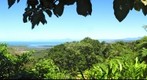 Daintree river from Bailey Creek