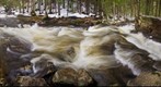Bicknell Brook