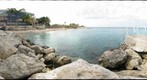 Iguanorama at Sand Dollar Resort - Bonaire