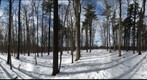 University of Guelph - Dairy Bush - 28 - March 03 2010 