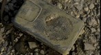 RiverBed 20100303 - 02