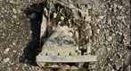 RiverBed 20100303 - 07