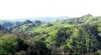 Sunol Spring Left Image