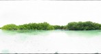 Canoeing at Lac Cai (II) - Bonaire