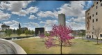 Oklahoma City Bombing Memorial from the Survivor Tree