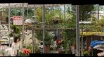floricultura SEAGESP