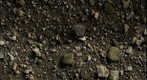 RiverBed 20100305 - 01 