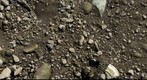 RiverBed 20100305 - 02
