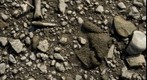RiverBed 20100305 - 03