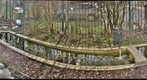 Queens Park CLC  - Nature Garden (March 2010)