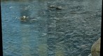 river.2.100308