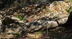 Kouros Melanes Naxos