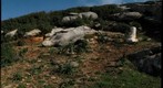 Kouros Flerio Naxos