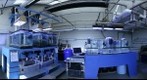 whereRU: Coral Reef Exploration Cook Campus