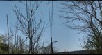 Franklin Avenue, Braddock