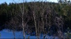 Stora Kroksjön