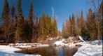 Moose River in Winter