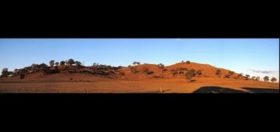 44594-400x189
