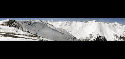 446-400x189