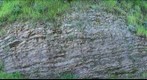 Another Chert Wall