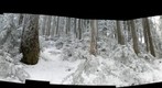 Summit Lake Trail