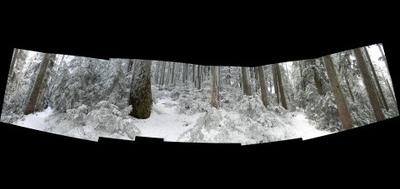 44636-400x189