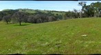 Morgan Territory