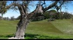 Sierra View
