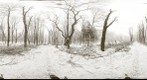 Lvov, Stryiski park