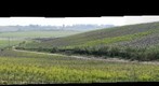 Vistas desde viñedo