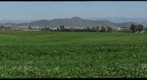 Menifee, CA - Green acres and Snow