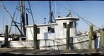 Brunswick, Georgia, Shrimp Boats, No. 2